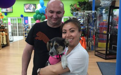 Another Life Saved – Sage