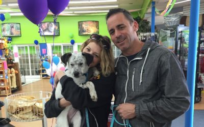 Another Life Saved – Sammie