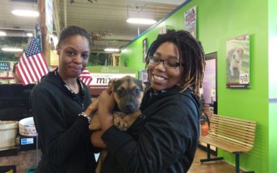 Another Life Saved – Spade