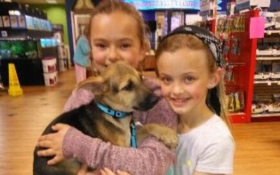 Another Life Saved – Trooper