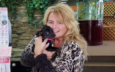 Another Life Saved – Trudy