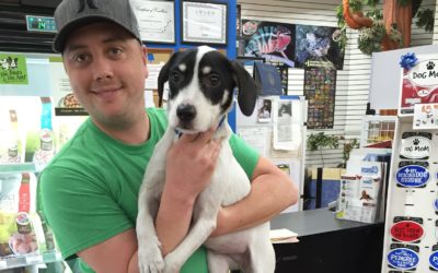 Another Life Saved – Tucker