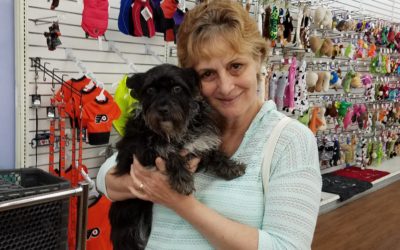 Another Life Saved – Zelda