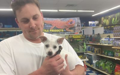 Another Life Saved – Dancer