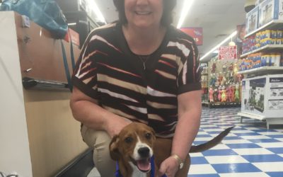 Another Life Saved – Mike