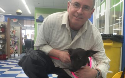 Another Life Saved – Rena