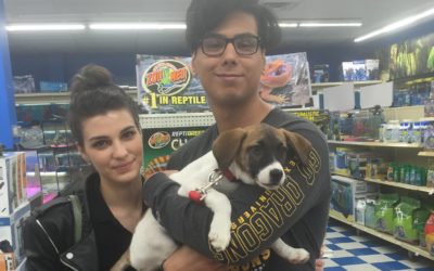 Another Life Saved – Sam