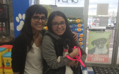 Another Life Saved – Shirley