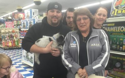 Another Life Saved – Teddy