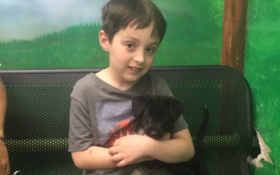 Another Life Saved – Wyatt