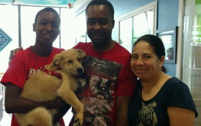 Another Life Saved – Adam