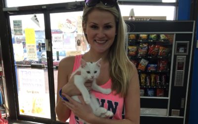 Another Life Saved – Azuar