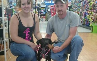 Another Life Saved – Bitsy