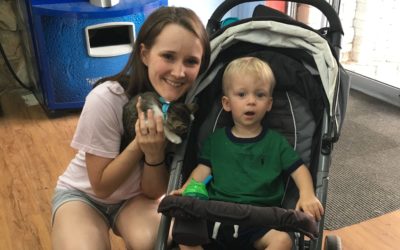 Another Life Saved – Celeste