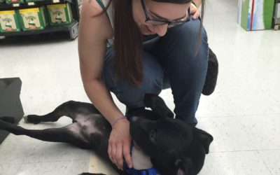 Another Life Saved – Cupid