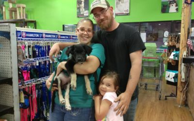 Another Life Saved – Dexter