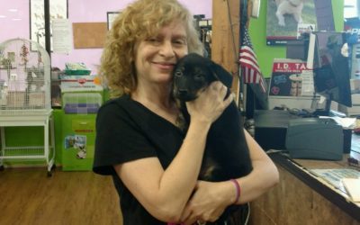 Another Life Saved – Dorian