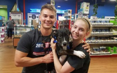 Another Life Saved – Benton