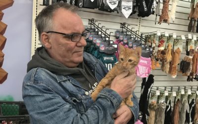 Another Life Saved – Punkin