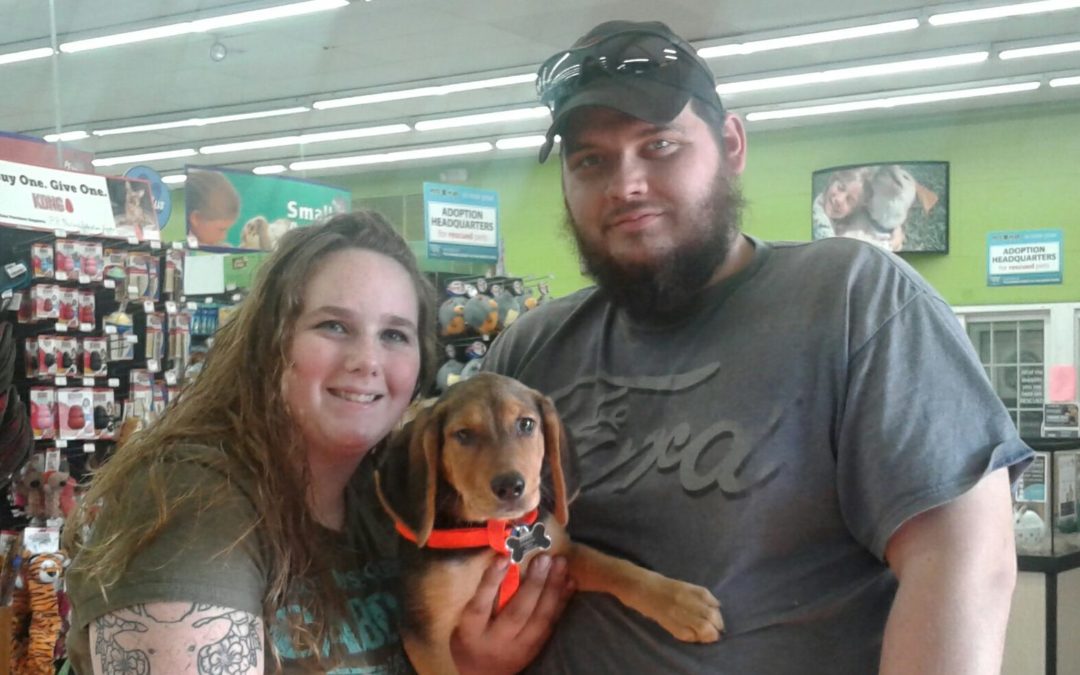 Another Life Saved – Adam