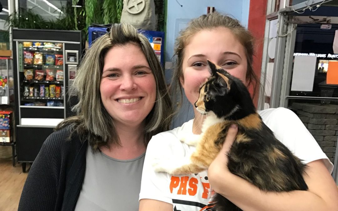 Another Life Saved – Alice
