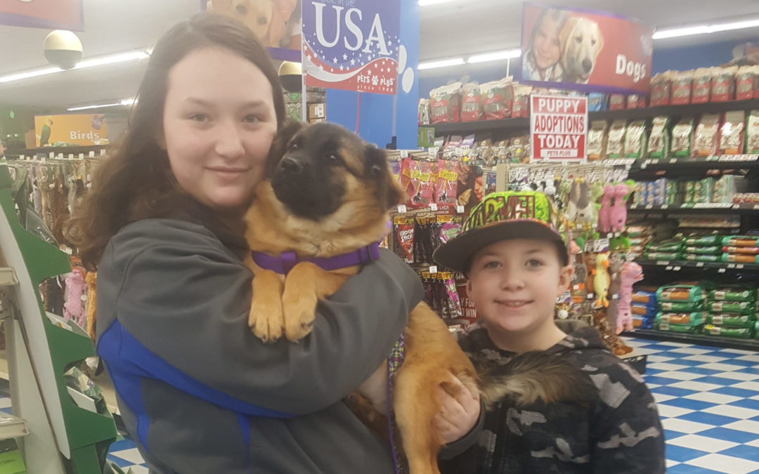 Another Life Saved – Angel
