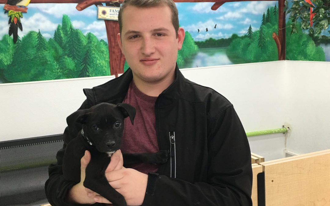 Another Life Saved – Coen