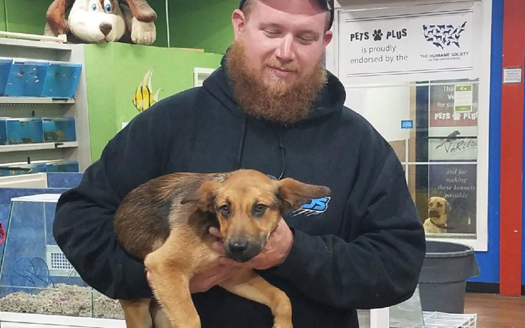 Another Life Saved – Fonzie