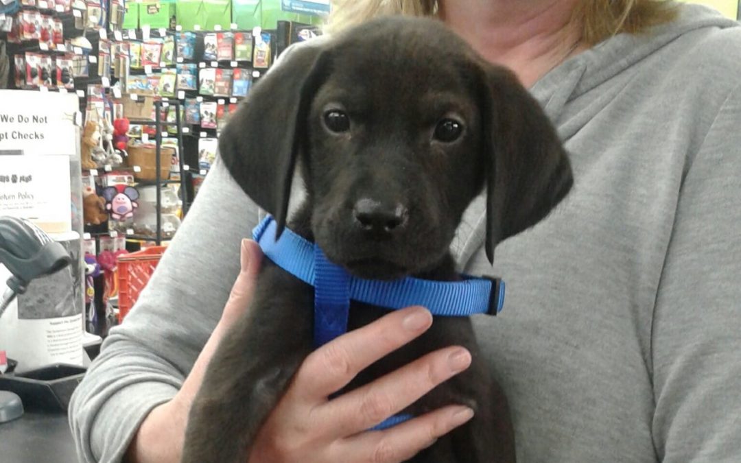 Another Life Saved – Jax
