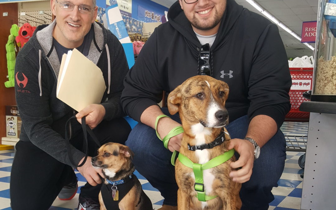 Another Life Saved – Jazzy