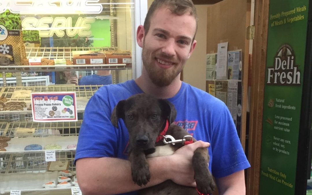 Another Life Saved – Johnnie
