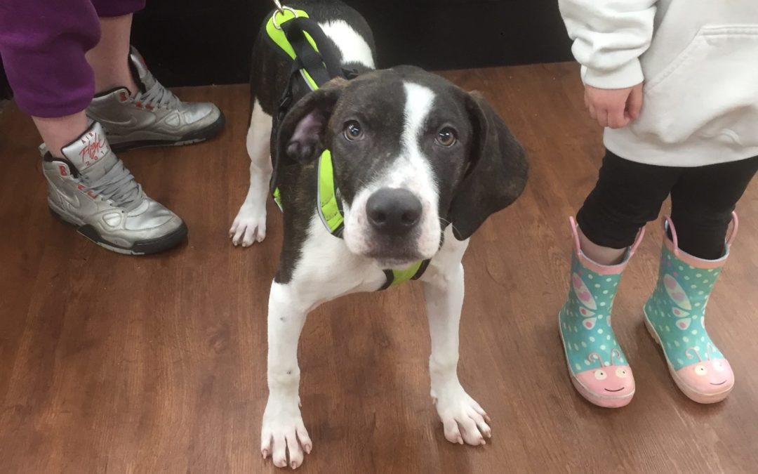 Another Life Saved – Leela