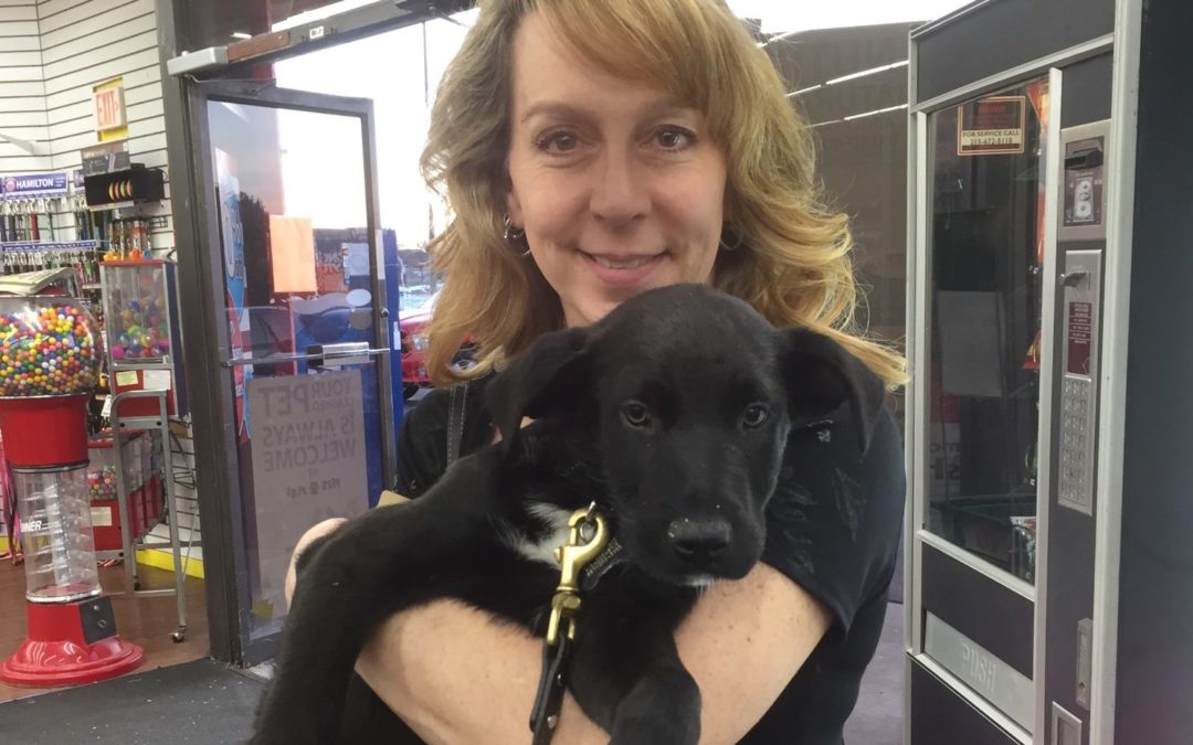 Another Life Saved – Luke