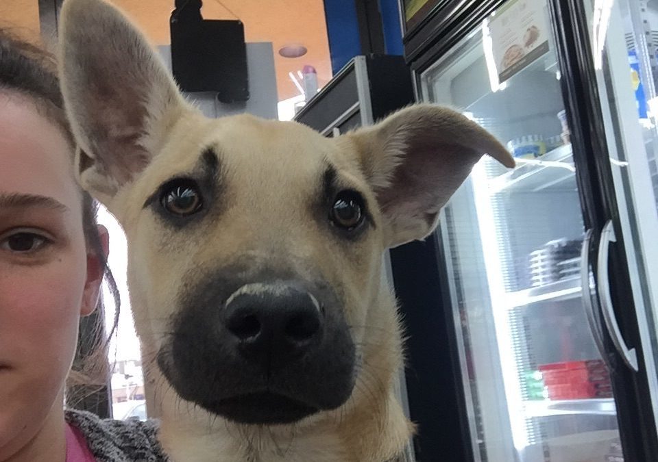 Another Life Saved – Max