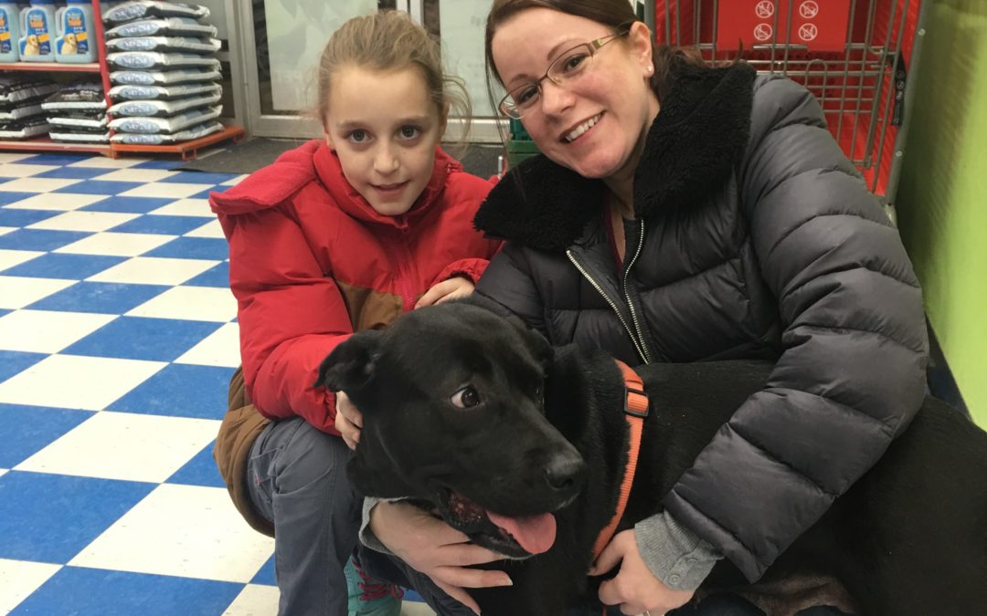 Another Life Saved – Midnight