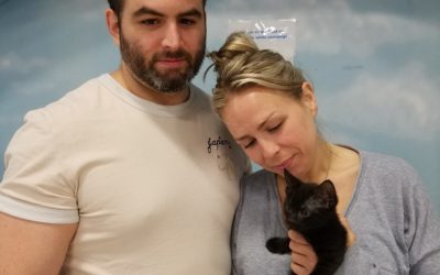 Another Life Saved – Midnight