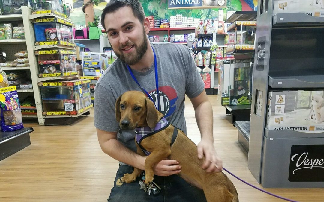 Another Life Saved – Molly