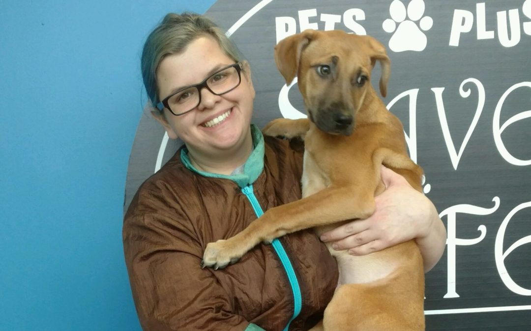 Another Life Saved – Morgan