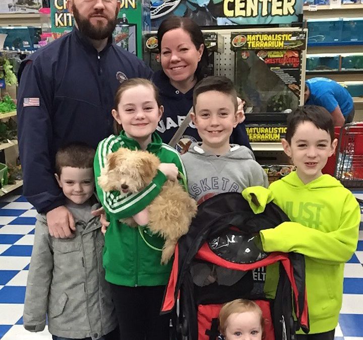 Another Life Saved – Ollie