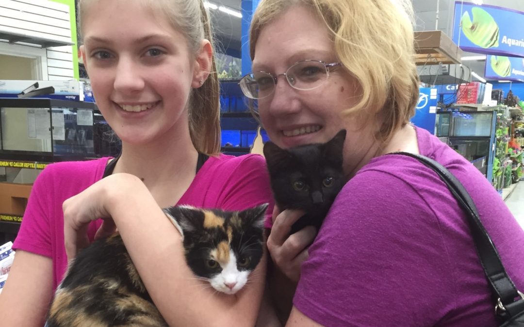 Another Life Saved – Onyx & Ariel