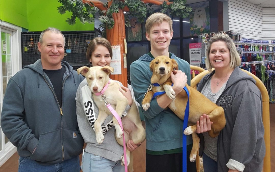Another Life Saved – Princess Peach & Isabelle