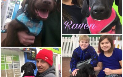 Another Life Saved – Snickers, Lilly, Raven & Roger