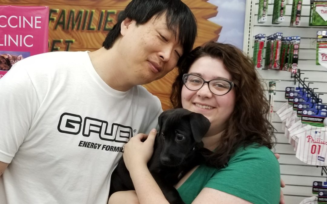 Another Life Saved – Spring