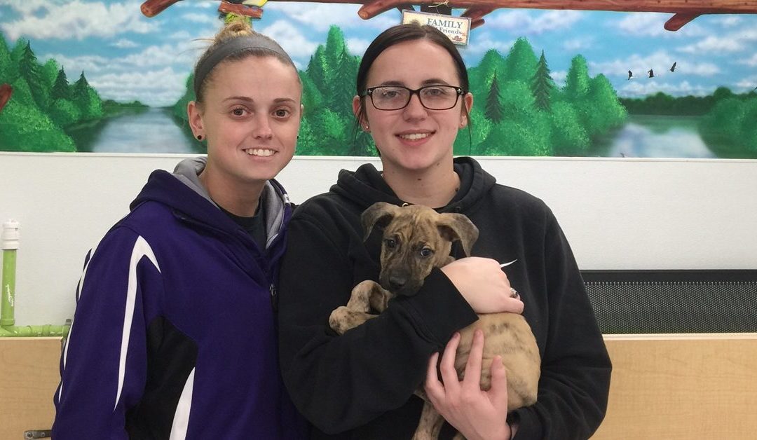 Another Life Saved – Wayne