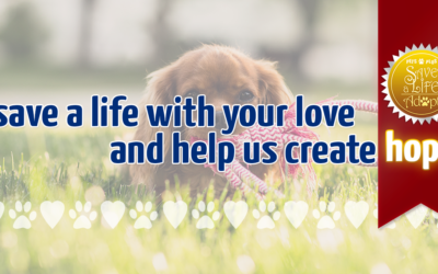 Another Life Saved – Beth