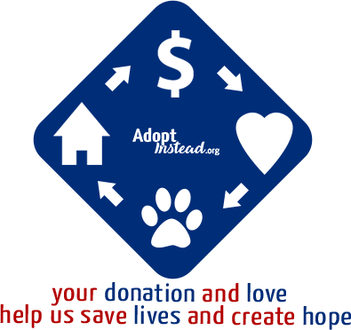 Your donation and love help us save lives and create hope