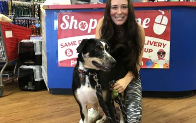 Another Life Saved – Harvey