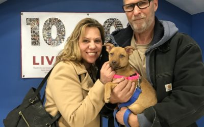 Another Life Saved – Kallie