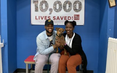 Another Life Saved – Bruno