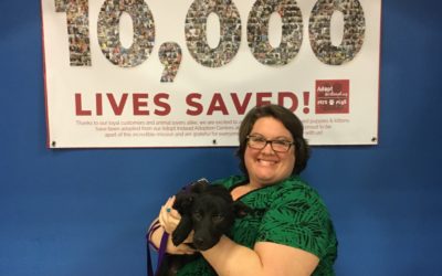 Another Life Saved – Artemis